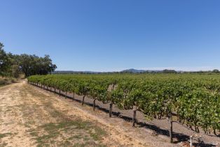 Agriculture,  River road, Windsor, CA 95492 - 2