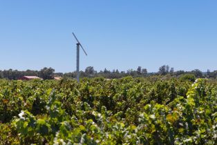 Agriculture,  River road, Windsor, CA 95492 - 13