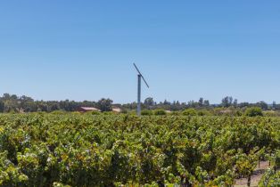 Agriculture,  River road, Windsor, CA 95492 - 12