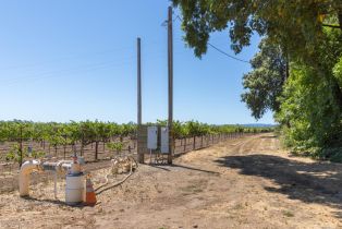 Agriculture,  River road, Windsor, CA 95492 - 7