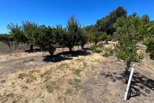 Agriculture,  River road, Windsor, CA 95492 - 30