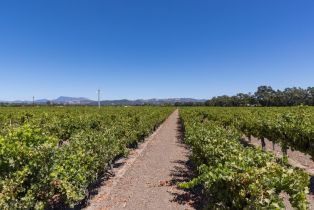 Agriculture,  River road, Windsor, CA 95492 - 5