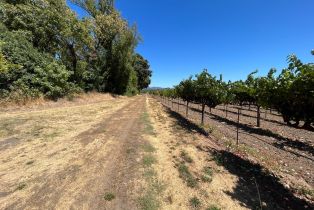 Agriculture,  River road, Windsor, CA 95492 - 33