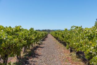 Agriculture,  River road, Windsor, CA 95492 - 17