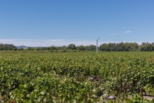 Agriculture,  River road, Windsor, CA 95492 - 22