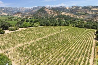 Agriculture,  Bale lane, Calistoga, CA 94515 - 12