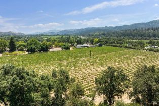 Agriculture,  Bale lane, Calistoga, CA 94515 - 11