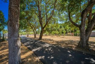 Single Family Residence,  Bloomfield road, Sebastopol, CA 95472 - 3