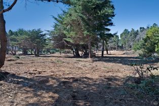 Residential Acreage,  Shoreline Highway 1 highway, Jenner, CA 95450 - 23