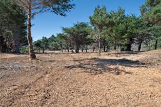 Residential Acreage,  Shoreline Highway 1 highway, Jenner, CA 95450 - 28