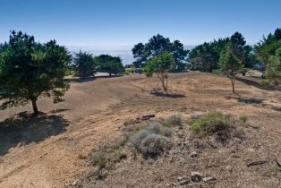 Residential Acreage,  Shoreline Highway 1 highway, Jenner, CA 95450 - 30