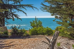 Residential Acreage,  Shoreline Highway 1 highway, Jenner, CA 95450 - 21