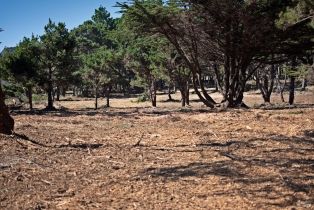 Residential Acreage,  Shoreline Highway 1 highway, Jenner, CA 95450 - 39