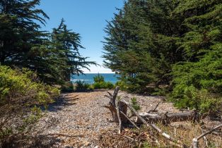 Residential Acreage,  Shoreline Highway 1 highway, Jenner, CA 95450 - 19