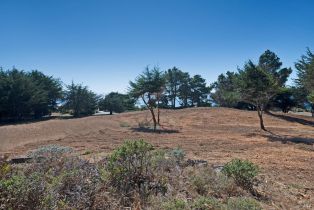 Residential Acreage,  Shoreline Highway 1 highway, Jenner, CA 95450 - 25