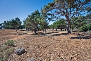 Residential Acreage,  Shoreline Highway 1 highway, Jenner, CA 95450 - 26