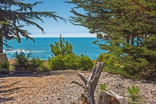 Residential Acreage,  Shoreline Highway 1 highway, Jenner, CA 95450 - 20