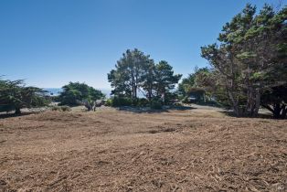 Residential Acreage,  Shoreline Highway 1 highway, Jenner, CA 95450 - 29