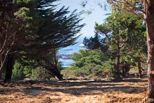 Residential Acreage,  Shoreline Highway 1 highway, Jenner, CA 95450 - 41