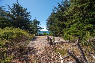 Residential Acreage,  Shoreline Highway 1 highway, Jenner, CA 95450 - 18