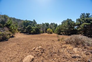 Residential Acreage,  Shoreline Highway 1 highway, Jenner, CA 95450 - 12