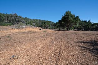 Residential Acreage,  Shoreline Highway 1 highway, Jenner, CA 95450 - 27