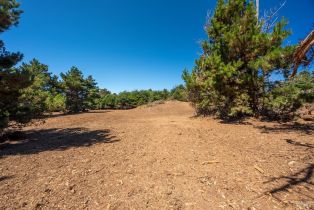 Residential Acreage,  Shoreline Highway 1 highway, Jenner, CA 95450 - 14