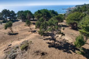 Residential Acreage,  Shoreline Highway 1 highway, Jenner, CA 95450 - 32