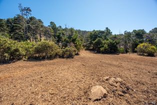 Residential Acreage,  Shoreline Highway 1 highway, Jenner, CA 95450 - 13