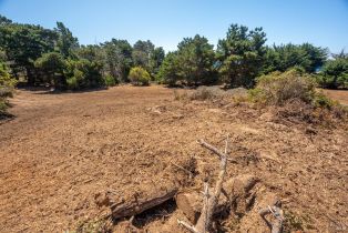 Residential Acreage,  Shoreline Highway 1 highway, Jenner, CA 95450 - 16