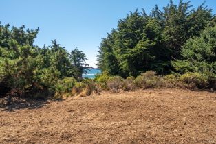 Residential Acreage,  Shoreline Highway 1 highway, Jenner, CA 95450 - 17