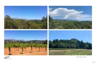 Residential Lot,  Dry Creek road, Healdsburg, CA 95448 - 14