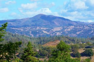 Residential Lot,  Dry Creek road, Healdsburg, CA 95448 - 31