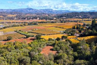 Residential Lot,  Dry Creek road, Healdsburg, CA 95448 - 21