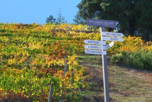 Residential Lot,  Dry Creek road, Healdsburg, CA 95448 - 3