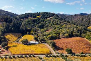 Residential Lot,  Dry Creek road, Healdsburg, CA 95448 - 20