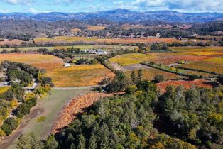 Residential Lot,  Dry Creek road, Healdsburg, CA 95448 - 24