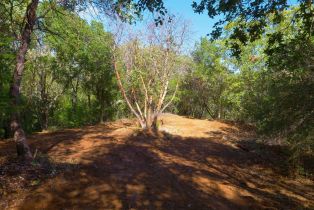 Residential Lot,  Dry Creek road, Healdsburg, CA 95448 - 33