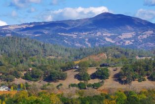 Residential Lot,  Dry Creek road, Healdsburg, CA 95448 - 27