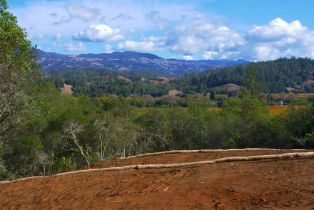 Residential Lot,  Dry Creek road, Healdsburg, CA 95448 - 32