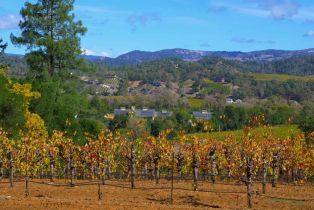 Residential Lot,  Dry Creek road, Healdsburg, CA 95448 - 34