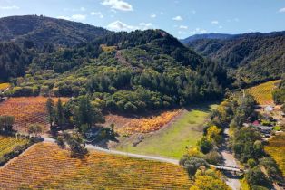 Residential Lot,  Dry Creek road, Healdsburg, CA 95448 - 19