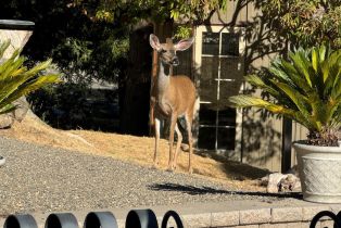 Single Family Residence, 200 Country Club lane, Napa, CA 94558 - 49