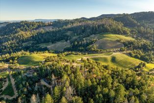 Agriculture,  Mount Veeder road, Napa, CA 94558 - 2