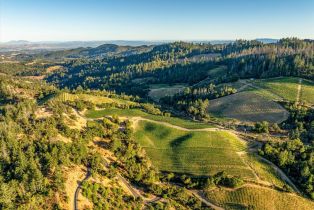 Agriculture,  Mount Veeder road, Napa, CA 94558 - 3