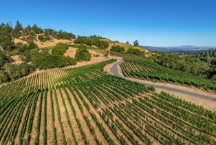 Agriculture,  Mount Veeder road, Napa, CA 94558 - 35