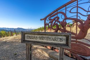 Agriculture,  Mount Veeder road, Napa, CA 94558 - 30