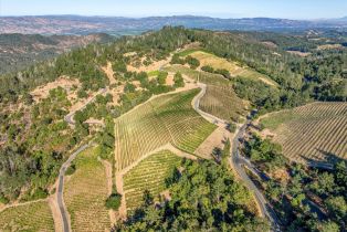 Agriculture,  Mount Veeder road, Napa, CA 94558 - 31