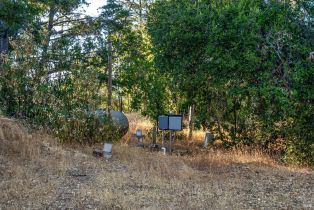 Agriculture,  Mount Veeder road, Napa, CA 94558 - 20