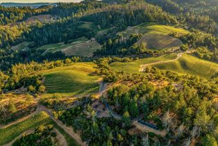 Agriculture,  Mount Veeder road, Napa, CA 94558 - 38